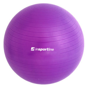 Gymnastická lopta inSPORTline Top Ball 55 cm fialová odhadovaná cena: 17.9 EUR