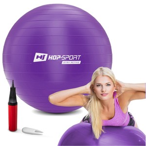 Gymnastická lopta s pumpou 65cm – fialová odhadovaná cena: 10.90 EUR