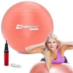 Gymnastická lopta s pumpou 55cm – ružová ODHADOVANÁ CENA: 10.20 EUR