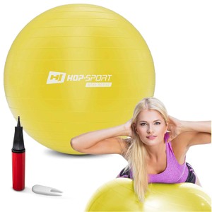 Gymnastická lopta s pumpou 55cm – žltá ODHADOVANÁ CENA: 10.20 EUR