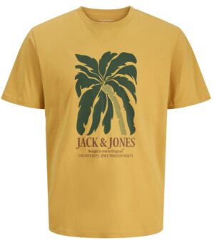 JACK AND JONES Jack & Jones Regular M , Pánské tričko, Velikosť: S odhadovaná cena: 14.95 EUR (€)