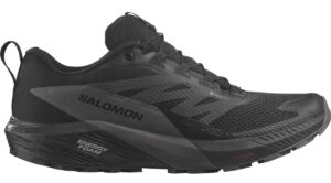 Salomon Sense Ride 5 GTX M  EUR, Trailová obuv, Velikosť: 48 EUR odhadovaná cena: 109.95 EUR (€)