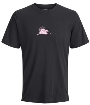 JACK AND JONES JACK & JONES JORTAROT , Pánské tričko, Velikosť: S odhadovaná cena: 12.95 EUR (€)