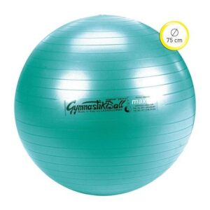 Pezzi , Gymnastický balón, Velikosť: Univerzálna veľkosť odhadovaná cena: 34.95 EUR (€)