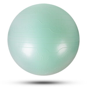 Gymnastická lopta inSPORTline Stretch Ball 65 cm mint odhadovaná cena: 12.9 EUR