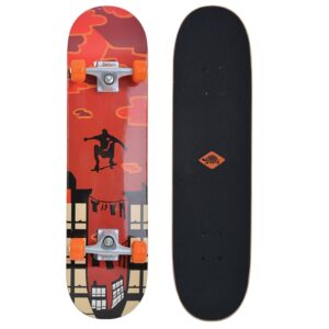 Skateboard SCHILDKROT Kicker 31″ – Parkour odhadovaná cena: 34.5 EUR