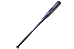 Softball pálka SPARTAN Alu – 34″ modrá odhadovaná cena: 37.8 EUR